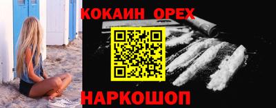 гидропоника Пенза