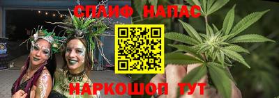 гидропоника Пенза