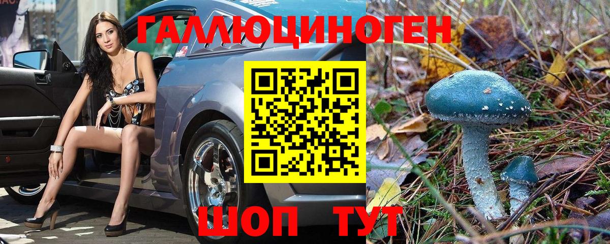 Галлюциногенные грибы прущие грибы Орск