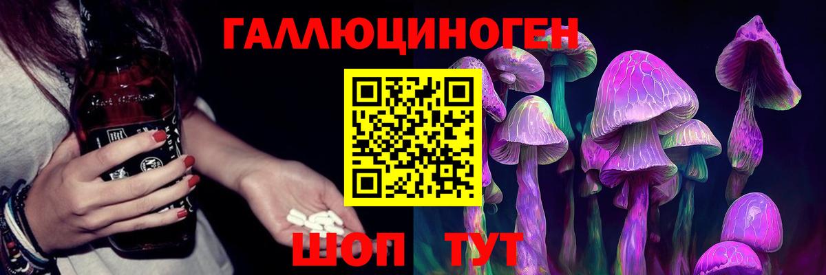 Орск  Псилоцибиновые грибы GOLDEN TEACHER  Вход с VPN 
